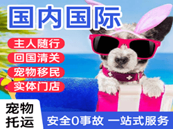 深圳宝安机场空运国际宠物托运 【国
